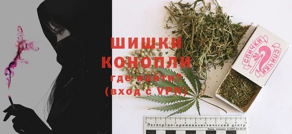 эйфоретик Бородино