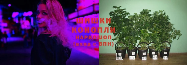 эйфоретик Бородино