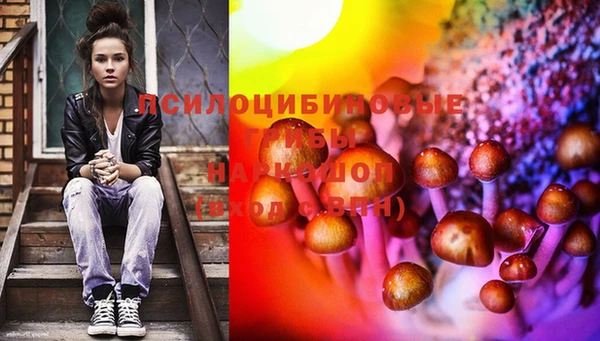 эйфоретик Бородино