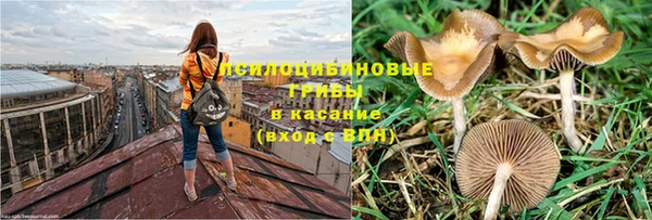 эйфоретик Бородино