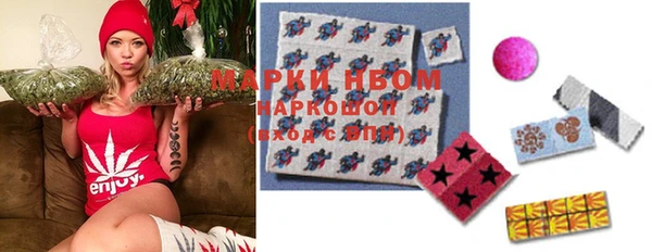 эйфоретик Бородино