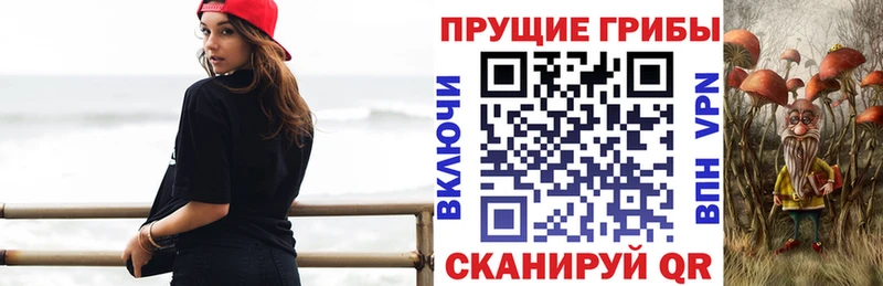 Галлюциногенные грибы MAGIC MUSHROOMS  закладка  Череповец 